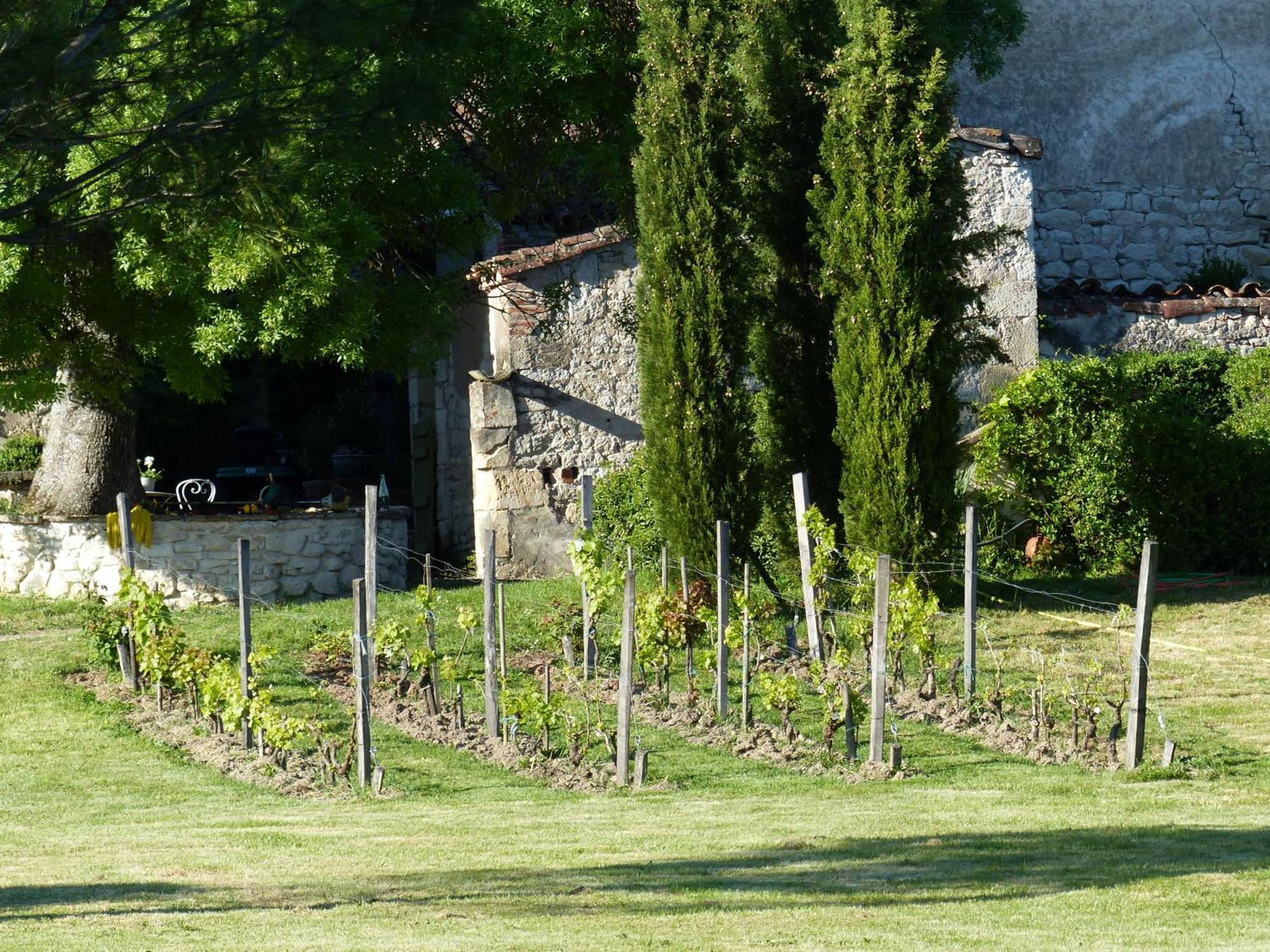 Hotel Domaine de La Monestarié à Bernac  Extérieur photo